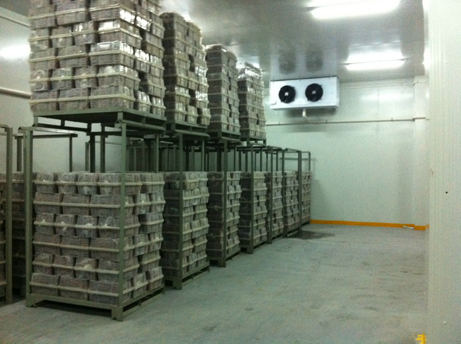 冷庫裝什么燈合適？冷庫燈和普通燈有有什么區別